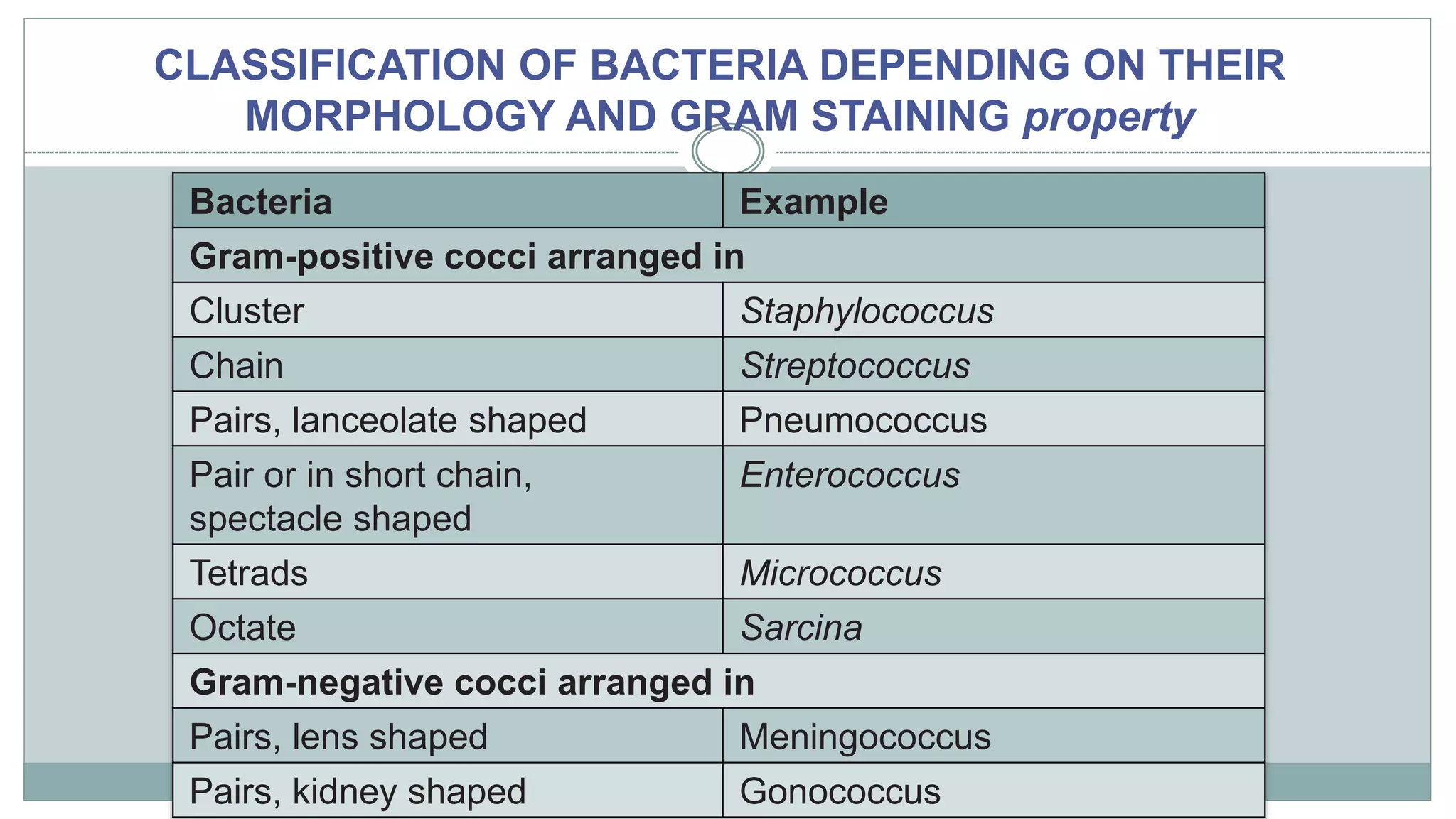 INTRODUCTION TO MICRO LAB, STAINING TECHNIQUES & MORPHOLOGY OF BACTERIA