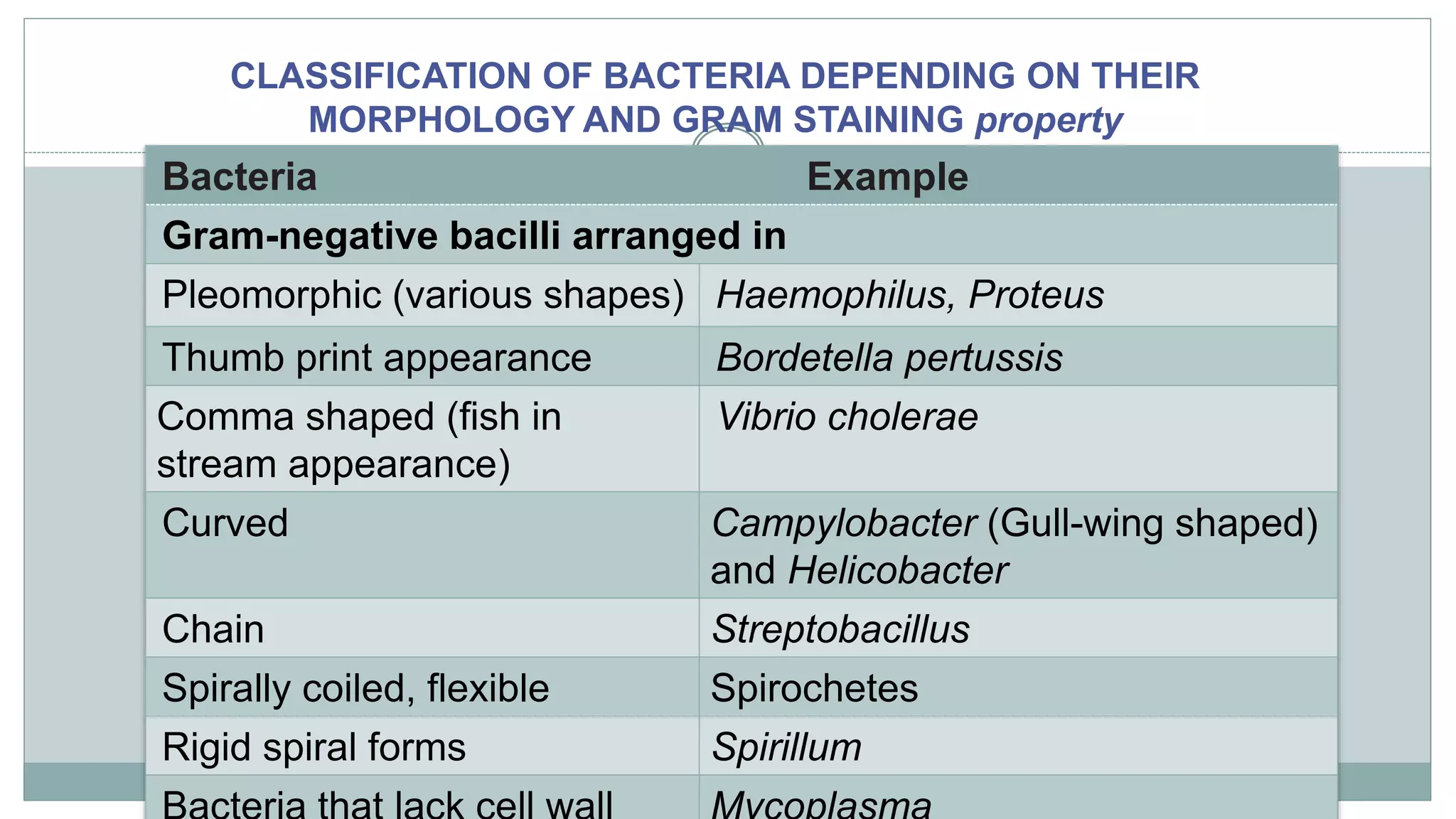 INTRODUCTION TO MICRO LAB, STAINING TECHNIQUES & MORPHOLOGY OF BACTERIA