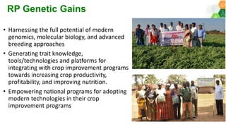 Research Program Genetic Gains (RPGG) - Review Meeting 2021: Overview By Dr Rajeev K Varshney