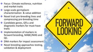 Research Program Genetic Gains (RPGG) - Review Meeting 2021: Overview By Dr Rajeev K Varshney