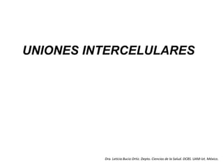 UNIONES INTERCELULARES
Dra. Leticia Bucio Ortiz. Depto. Ciencias de la Salud. DCBS. UAM-Izt. México.
 