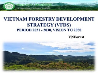 VNForest
VIETNAM FORESTRY DEVELOPMENT
STRATEGY (VFDS)
PERIOD 2021 - 2030, VISION TO 2050
 