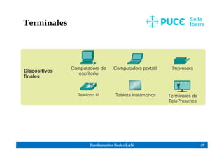 Fundamentos Redes LAN 29
Terminales
 