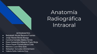 Anatomía
Radiográfica
Intraoral
INTEGRANTES :
● Betzabeth Nicole Barreros Fuentes
● Jorge Alonso Borda Bizaga
● Carolina Corrales Mattos Simão
● Kiara Kassandra Milagros Prado Borja
● Diana Dayan Pumahualcca Coila
● Mariana Lucia Silva Soto
● Sebastian Gonzalez Zimmermann
● Valeria Sofia Valdivia Cruz
 