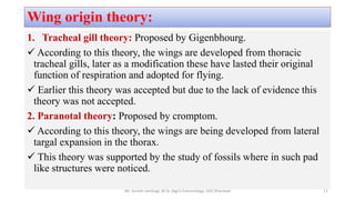 Wing origin theory:
1. Tracheal gill theory: Proposed by Gigenbhourg.
 According to this theory, the wings are developed from thoracic
tracheal gills, later as a modification these have lasted their original
function of respiration and adopted for flying.
 Earlier this theory was accepted but due to the lack of evidence this
theory was not accepted.
2. Paranotal theory: Proposed by cromptom.
 According to this theory, the wings are being developed from lateral
targal expansion in the thorax.
 This theory was supported by the study of fossils where in such pad
like structures were noticed.
Mr. Suresh Jambagi, M.Sc (Agri) Entomology, UAS Dharwad 11
 