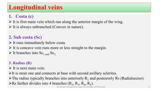 Longitudinal veins
1. Costa (c)
 It is first main vein which run along the anterior margin of the wing.
 It is always unbranched (Convex in nature).
2. Sub costa (Sc)
 It runs immediately below costa.
 It is concave vein runs more or less straight to the margin.
 It branches into Sc1 and Sc2.
3. Radius (R)
 It is next main vein.
It is stout one and connects at base with second axillary sclerites.
The radius typically branches into anteriorly R1 and posteirorly Rs (Radialsector).
Rs further divides into 4 branches (R2, R3, R4, R5).
Mr. Suresh Jambagi, M.Sc (Agri) Entomology, UAS Dharwad 8
 