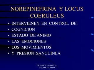 DR EDWIN SUAREZ A.
NEUROCIRUJANO
NOREPINEFRINA Y LOCUS
COERULEUS
• INTERVIENEN EN CONTROL DE:
• COGNICION
• ESTADO DE ANIMO
• LAS EMOCIONES
• LOS MOVIMIENTOS
• Y PRESION SANGUINEA
 