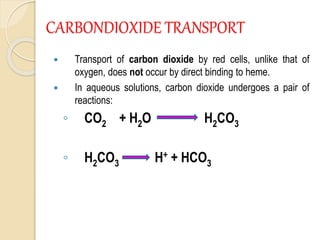 CARBONDIOXIDE TRANSPORT
 Transport of carbon dioxide by red cells, unlike that of
oxygen, does not occur by direct binding to heme.
 In aqueous solutions, carbon dioxide undergoes a pair of
reactions:
◦ CO2 + H2O H2CO3
◦ H2CO3 H+ + HCO3
 