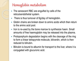 Hemoglobin metabolism
 The senescent RBC are engulfed by cells of the
reticuloendothelial system.
 There is thus turnover of 6g/day of hemoglobin.
 Globin chains are broken down to amino acids which then return
to the amino acid pool.
 Iron is re-used by the bone marrow to synthesize haem. Small
amounts of free haemoglobin may be released into the plasma.
 Protoporphyrin degradation begins with the cleavage of the ring
to form a linear tetrapyrrole molecule, biliverdin, which is then
reduced to bilirubin.
 Bilirubin is bound to albumin for transport to the liver, where it is
conjugated with glucuronic acid.
 
