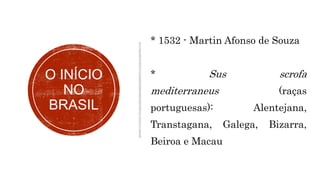 O INÍCIO
NO
BRASIL
* 1532 - Martin Afonso de Souza
* Sus scrofa
mediterraneus (raças
portuguesas): Alentejana,
Transtagana, Galega, Bizarra,
Beiroa e Macau
 