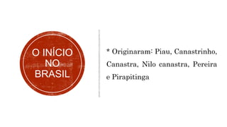 O INÍCIO
NO
BRASIL
* Originaram: Piau, Canastrinho,
Canastra, Nilo canastra, Pereira
e Pirapitinga
 
