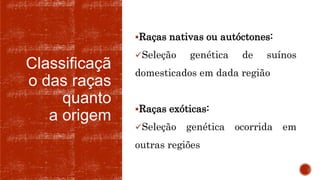 Classificaçã
o das raças
quanto
a origem
Raças nativas ou autóctones:
Seleção genética de suínos
domesticados em dada região
Raças exóticas:
Seleção genética ocorrida em
outras regiões
 