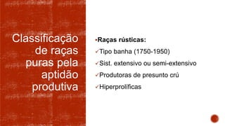 Classificação
de raças
puras pela
aptidão
produtiva
Raças rústicas:
Tipo banha (1750-1950)
Sist. extensivo ou semi-extensivo
Produtoras de presunto crú
Hiperprolíficas
 
