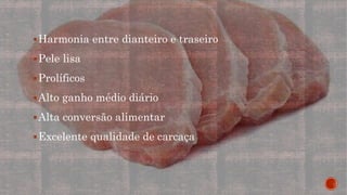 Harmonia entre dianteiro e traseiro
Pele lisa
Prolíficos
Alto ganho médio diário
Alta conversão alimentar
Excelente qualidade de carcaça
 