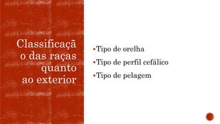 Classificaçã
o das raças
quanto
ao exterior
Tipo de orelha
Tipo de perfil cefálico
Tipo de pelagem
 