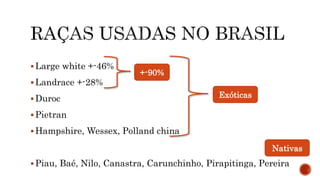  Large white +-46%
 Landrace +-28%
 Duroc
 Pietran
 Hampshire, Wessex, Polland china
 Piau, Baé, Nilo, Canastra, Carunchinho, Pirapitinga, Pereira
+-90%
Exóticas
Nativas
 