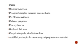  Duroc
Origem: América
Pelagem: simples marrom avermelhado
Perfil: concavilíneo
Cabeça: pequena
Pescoço: curto
Orelhas: ibéricas
Corpo: alongado, simétrico e liso
Aptidão: produção de carne magra (pequeno marmoreio)
 