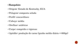  Hampshire
Origem: Estado de Kentucky, EUA
Pelagem: composta selada
Perfil: concavilíneo
Cabeça: média
Orelhas: asiáticas
Corpo: comprido e vigoroso
Aptidão: produção de carne (ganho médio diário +-600gr)
 