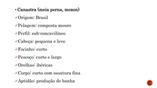  Canastra (meia perna, moxon)
Origem: Brasil
Pelagem: composta mouro
Perfil: sub-concavilíneo
Cabeça: pequena e leve
Focinho: curto
Pescoço: curto e largo
Orelhas: ibéricas
Corpo: curto com ossatura fina
Aptidão: produção de banha
 