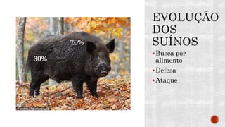 Busca por
alimento
Defesa
Ataque
70%
30%
 