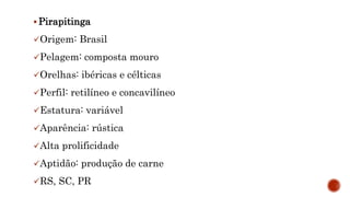  Pirapitinga
Origem: Brasil
Pelagem: composta mouro
Orelhas: ibéricas e célticas
Perfil: retilíneo e concavilíneo
Estatura: variável
Aparência: rústica
Alta prolificidade
Aptidão: produção de carne
RS, SC, PR
 