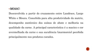  MO25C:
Desenvolvida a partir do cruzamento entre Landrace, Large
White e Moura. Concebida para alta produtividade da matriz,
desempenho zootécnico dos suínos de abate e melhoria na
qualidade da carne. A principal característica é a maciez e cor
avermelhada da carne e sua suculência (marmoreio) pecebida
principalmente nos produtos curados.
 