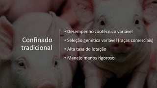 Confinado
tradicional
• Desempenho zootécnico variável
• Seleção genética variável (raças comerciais)
• Alta taxa de lotação
• Manejo menos rigoroso
 