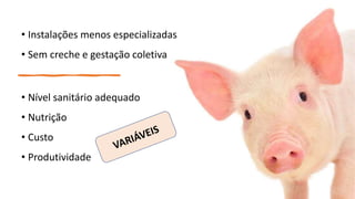• Instalações menos especializadas
• Sem creche e gestação coletiva
• Nível sanitário adequado
• Nutrição
• Custo
• Produtividade
 