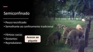 Semiconfinado
• Pouco tecnificado
• Semelhante ao confinamento tradicional
• Fêmeas vazias
• Gestantes
• Reprodutores
Acesso ao
piquete
 