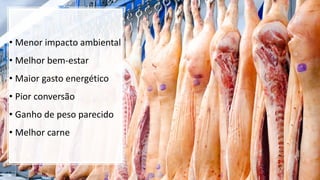 • Menor impacto ambiental
• Melhor bem-estar
• Maior gasto energético
• Pior conversão
• Ganho de peso parecido
• Melhor carne
 