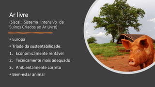 Ar livre
• Europa
• Tríade da sustentabilidade:
1. Economicamente rentável
2. Tecnicamente mais adequado
3. Ambientalmente correto
• Bem-estar animal
(Siscal: Sistema Intensivo de
Suínos Criados ao Ar Livre)
 