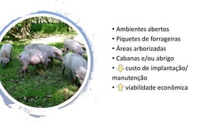 • Ambientes abertos
• Piquetes de forrageiras
• Áreas arborizadas
• Cabanas e/ou abrigo
• custo de implantação/
manutenção
• viabilidade econômica
 