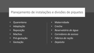 Planejamento de instalações e divisões de piquetes
• Quarentena
• Adaptação
• Reposição
• Machos
• Pré-gestação
• Gestação
• Maternidade
• Creche
• Reservatório de água
• Corredores de acesso
• Fábrica de ração
• Depósito
 