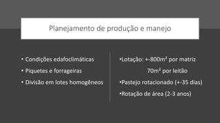 Planejamento de produção e manejo
• Condições edafoclimáticas
• Piquetes e forrageiras
• Divisão em lotes homogêneos
•Lotação: +-800m² por matriz
70m² por leitão
•Pastejo rotacionado (+-35 dias)
•Rotação de área (2-3 anos)
 