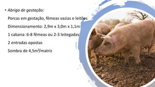 • Abrigo de gestação:
Porcas em gestação, fêmeas vazias e leitões
Dimensionamento: 2,9m x 3,0m x 1,1m
1 cabana: 6-8 fêmeas ou 2-3 leitegadas
2 entradas opostas
Sombra de 4,5m²/matriz
 