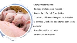 • Abrigo maternidade:
Fêmeas em lactação e machos
Dimensão: 1,7m x 2,8m x 1,45m
1 cabana: 1 fêmea + leitegada ou 1 macho
1 entrada , fechada nas laterais com janela
posterior
Piso de assoalho ou cama
Sombra de 9m²/matriz
 