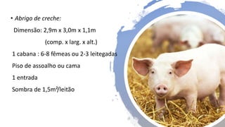 • Abrigo de creche:
Dimensão: 2,9m x 3,0m x 1,1m
(comp. x larg. x alt.)
1 cabana : 6-8 fêmeas ou 2-3 leitegadas
Piso de assoalho ou cama
1 entrada
Sombra de 1,5m²/leitão
 