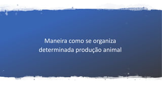 Maneira como se organiza
determinada produção animal
 