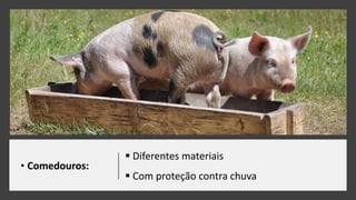  Diferentes materiais
 Com proteção contra chuva
• Comedouros:
 