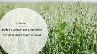 • Inverno:
pode-se semear aveia, azevém e
viça (sem mexer muito no solo)
 
