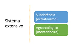 Sistema
extensivo
Subsistência
(extrativismo)
Agroecológico
(montanheira)
 