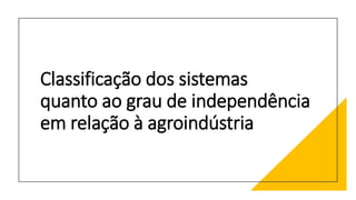 Classificação dos sistemas
quanto ao grau de independência
em relação à agroindústria
 