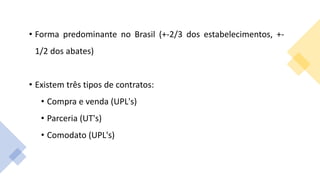 • Forma predominante no Brasil (+-2/3 dos estabelecimentos, +-
1/2 dos abates)
• Existem três tipos de contratos:
• Compra e venda (UPL's)
• Parceria (UT's)
• Comodato (UPL's)
 