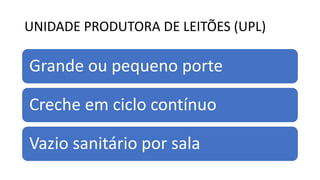 UNIDADE PRODUTORA DE LEITÕES (UPL)
Grande ou pequeno porte
Creche em ciclo contínuo
Vazio sanitário por sala
 