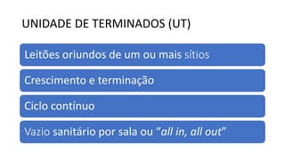 UNIDADE DE TERMINADOS (UT)
Leitões oriundos de um ou mais sítios
Crescimento e terminação
Ciclo contínuo
Vazio sanitário por sala ou “all in, all out”
 