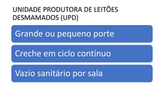 UNIDADE PRODUTORA DE LEITÕES
DESMAMADOS (UPD)
Grande ou pequeno porte
Creche em ciclo contínuo
Vazio sanitário por sala
 