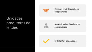 Unidades
produtoras de
leitões
Comum em integrações e
cooperativas
Necessita de mão-de-obra
especializada
Instalações adequadas
 