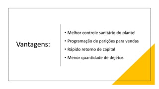 Vantagens:
• Melhor controle sanitário do plantel
• Programação de parições para vendas
• Rápido retorno de capital
• Menor quantidade de dejetos
 