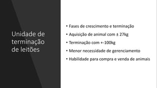 Unidade de
terminação
de leitões
• Fases de crescimento e terminação
• Aquisição de animal com ± 27kg
• Terminação com +-100kg
• Menor necessidade de gerenciamento
• Habilidade para compra e venda de animais
 