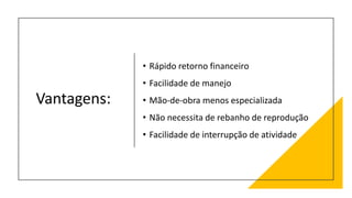 Vantagens:
• Rápido retorno financeiro
• Facilidade de manejo
• Mão-de-obra menos especializada
• Não necessita de rebanho de reprodução
• Facilidade de interrupção de atividade
 